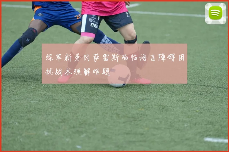 绿军新秀冈萨雷斯面临语言障碍困扰战术理解难题