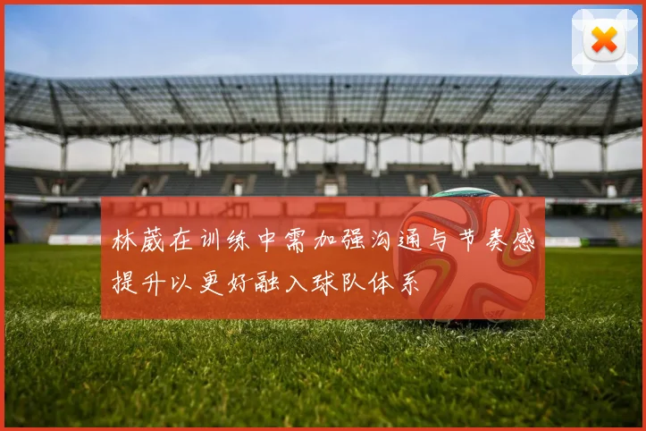 林葳在训练中需加强沟通与节奏感提升以更好融入球队体系