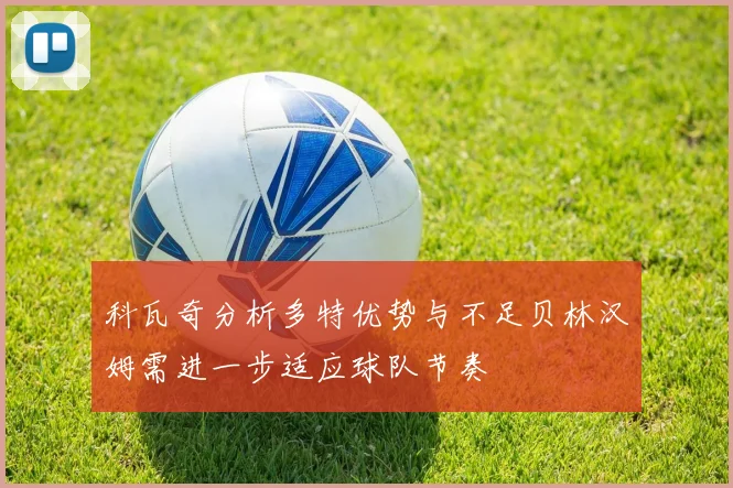 科瓦奇分析多特优势与不足贝林汉姆需进一步适应球队节奏